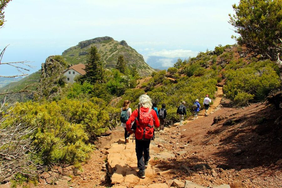 From Funchal: Madeira Peaks Mountain Walk - Key highlights worth planning for