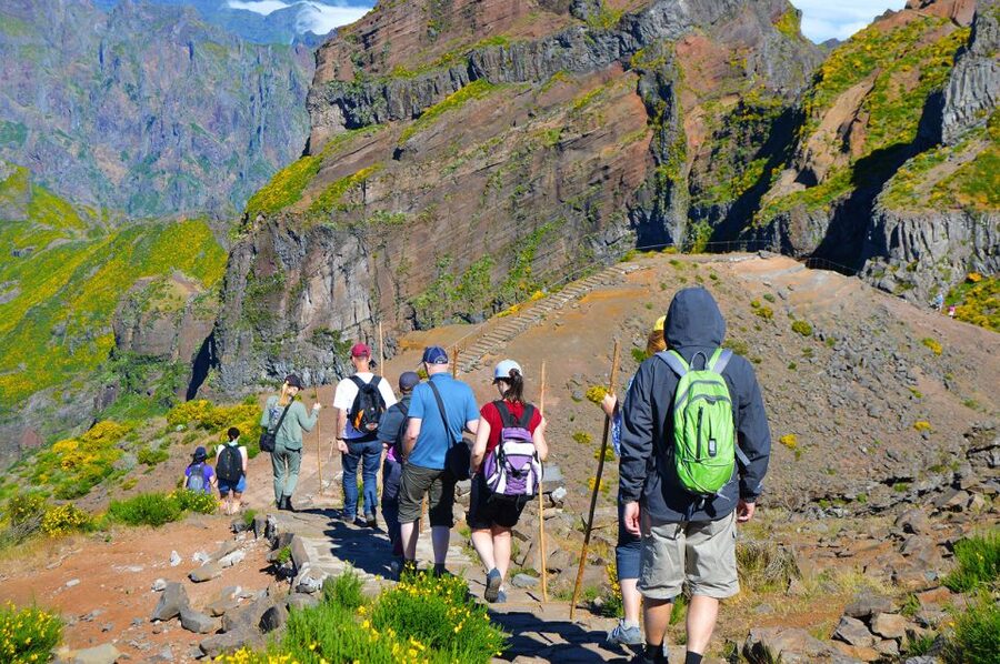 From Funchal: Madeira Peaks Mountain Walk - The climb’s reality check: stairs, railings, and heat