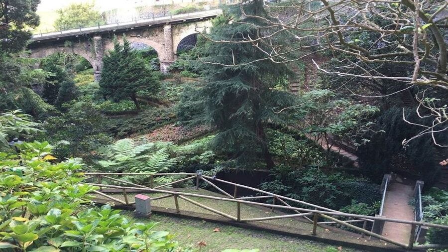 From Funchal: Nuns Valley, Monte and Sleigh Ride Tour - Monte Toboggan Ride Down Livramento, the 2-Kilometer Classic