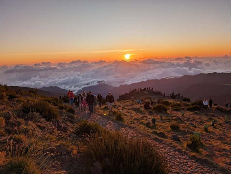From Funchal: Pico Arieiro Sunrise with Optional Breakfast - The Pickup Ride: Scenic Views, Limited Time, and a Guide Who Manages It