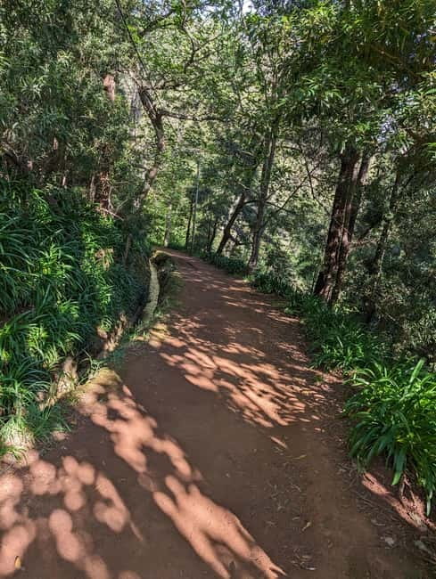 From Funchal: Pico Arieiro Sunrise with Optional Breakfast - The Lower-Cost Sunrise Option: A Smart Pick for Busy Schedules