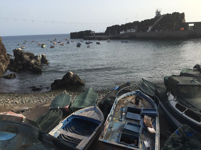 From Funchal: West Madeira and Laurel Forest Day Trip - Câmara de Lobos fishing life, Churchill stories, and terrace farms