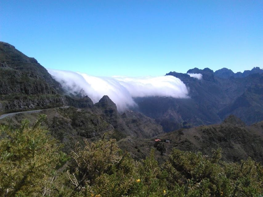 From Funchal: West Madeira and Laurel Forest Day Trip - Price and logistics: what $37 buys, and the small extras to know