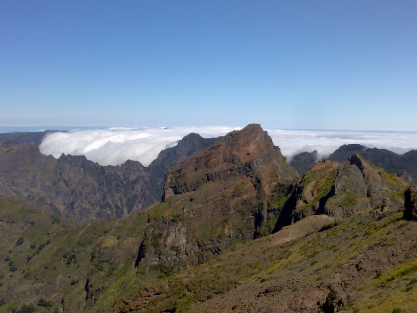 From Funchal: West Madeira Waterfalls and Fanal Forest Tour - Porto Moniz Natural Swimming Pools, Lunch, and the Sea-Pool Choice