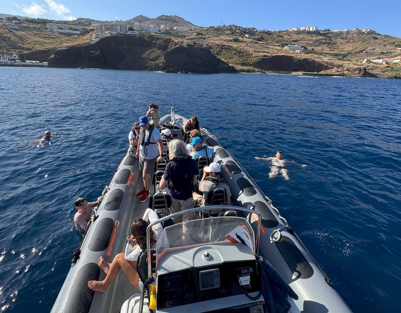 From Funchal: Whale and Dolphin Watching - Weather, Waves, and When the Trip Still Delivers
