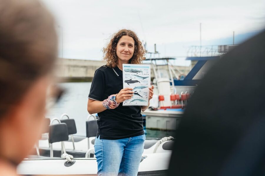From Funchal: Whales and Dolphin Adventure Tour - Who should book, and who should choose a different plan