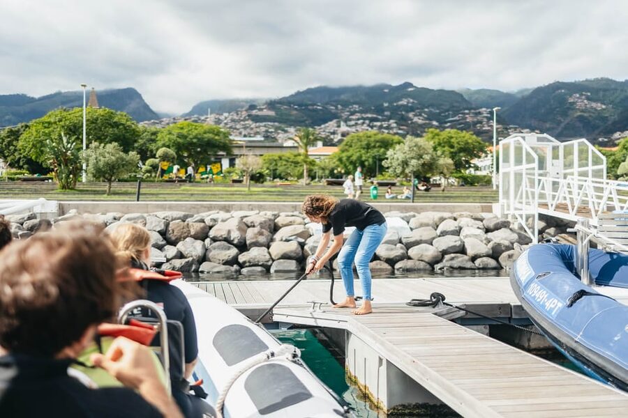 From Funchal: Whales and Dolphin Adventure Tour - A RIB speedboat is the real advantage for whale and dolphin spotting