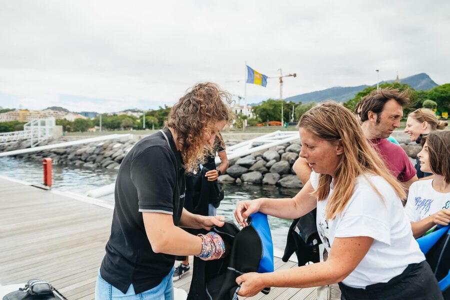 From Funchal: Whales and Dolphin Adventure Tour - When swimming happens: dolphin entry rules and what the day feels like