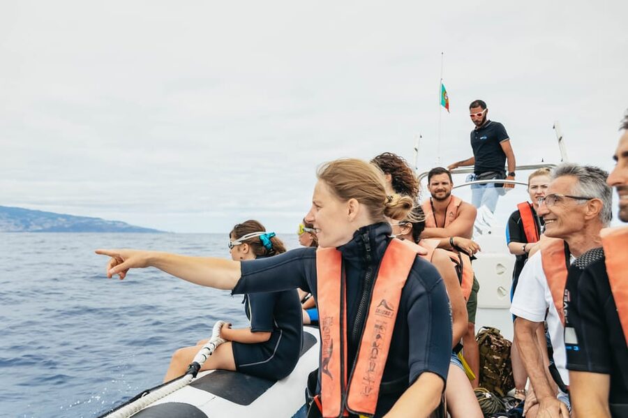 From Funchal: Whales and Dolphin Adventure Tour - Whales, dolphins, and the bonus wildlife that can steal the show