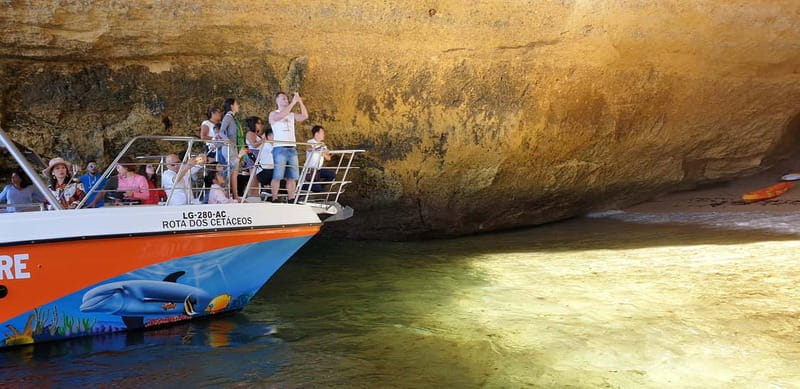 From Lagos: Benagil Caves Catamaran Cruise - Key things to know before you go
