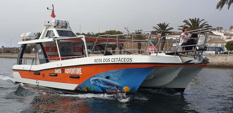 From Lagos: Benagil Caves Catamaran Cruise - Swimming near Benagil: crystal water, strict rules, short sessions