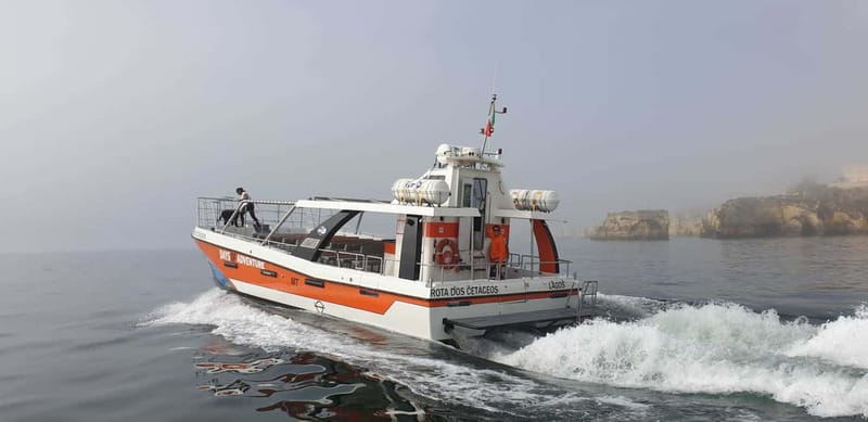 From Lagos: Benagil Caves Catamaran Cruise - Guide vibe and language: Portuguese or English, with real personalities