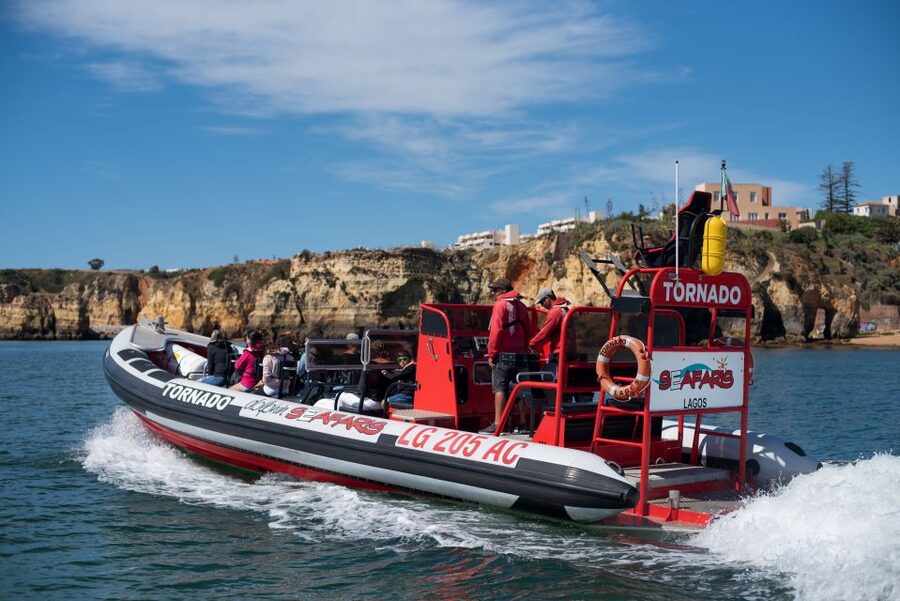 From Lagos: Benagil Sea Caves Tour with a Local Guide - Benagil Sea Cave, what you can do, and what you should expect to see
