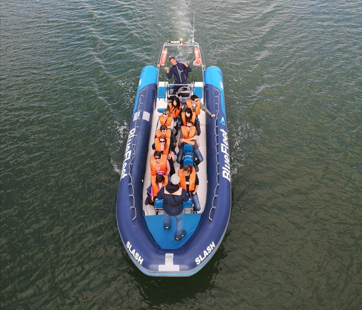 From Lagos: Dolphin Watching Boat Trip w/Marine Biologists - Sea conditions, comfort, and safety tips for your 1.5 hours