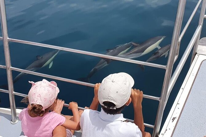 From Lagos: Dolphin Watching Cruise on a Catamaran - Quick hits