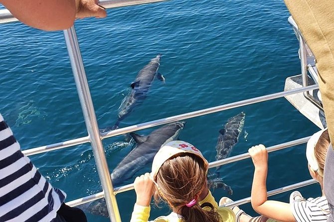 From Lagos: Dolphin Watching Cruise on a Catamaran - Marina de Lagos to the waterline, exactly what you’re buying