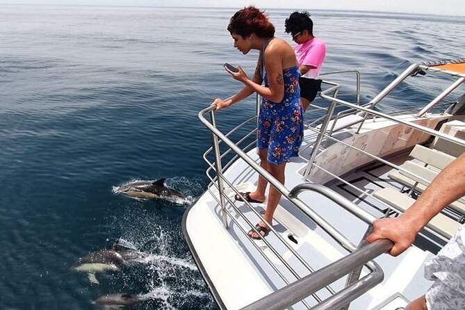 From Lagos: Dolphin Watching Cruise on a Catamaran - Accessibility and who this cruise is built for