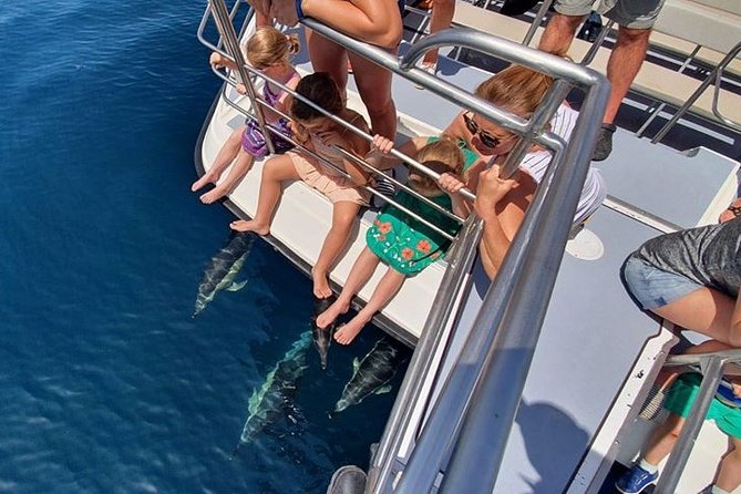 From Lagos: Dolphin Watching Cruise on a Catamaran - Price and value: is $48.39 worth it?