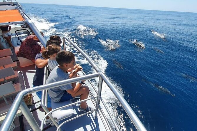 From Lagos: Dolphin Watching Cruise on a Catamaran - Practical tips for a smoother ride