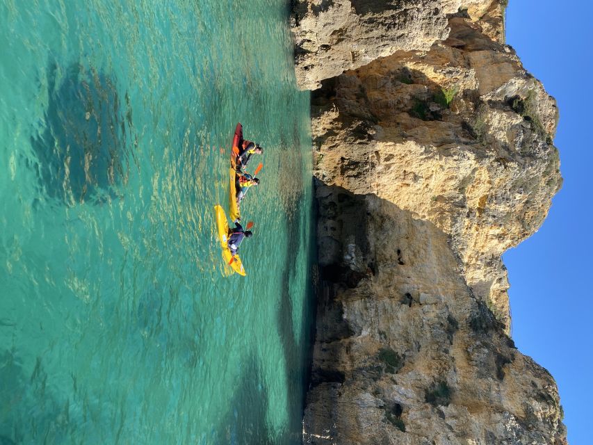 From Lagos: Kayak Experience in Ponta da Piedade - Price and Value, What $40 Really Buys You