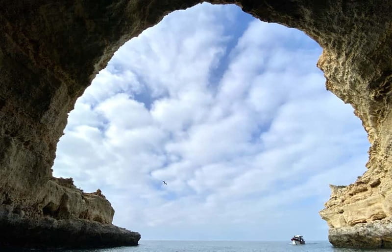 From Lagos: Scenic Cruise to the Benagil and Carvoeiro Caves - Price and Value: Is $40 Worth It for 2 Hours?