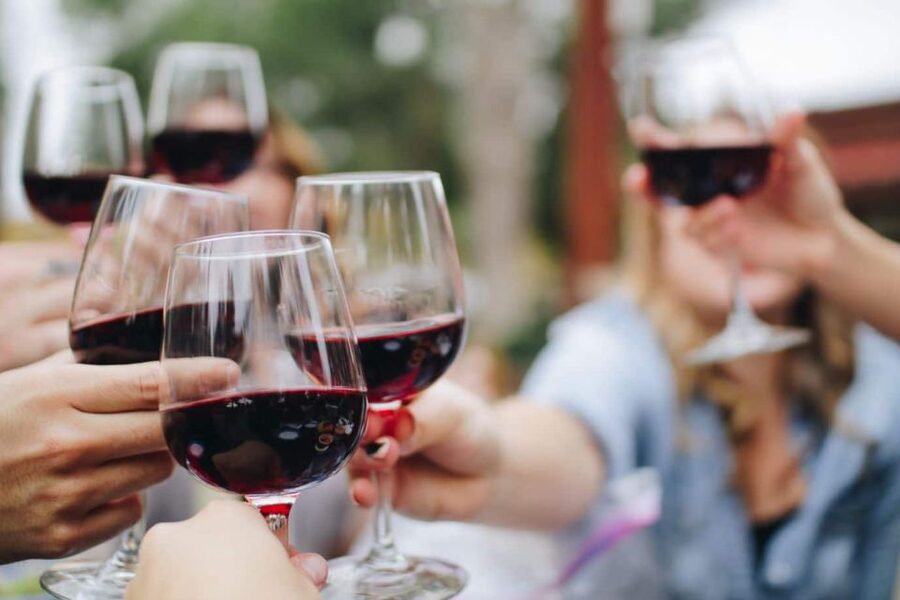 From Lagos: Small-Group 4-Hour Wine Tasting Tour - Lagos pickup, the minivan ride, and the “build-in-scene” timing