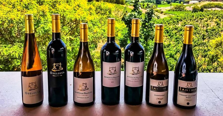 From Lagos: Small-Group 4-Hour Wine Tasting Tour - The winery tour plus tasting: the production room and barrel room matter