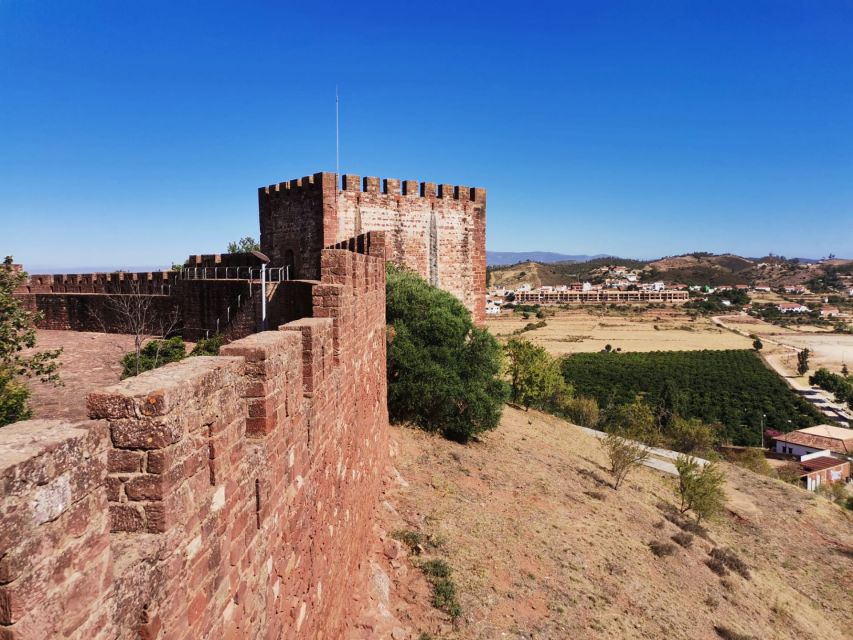 From Lagos: Small-Group 4-Hour Wine Tasting Tour - Tapas pairing: what you get and how to use it