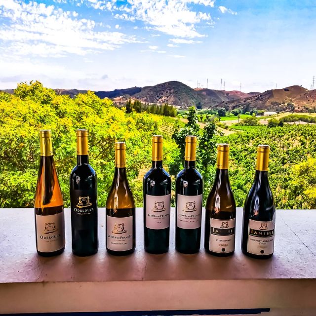 From Lagos: Small-Group 4-Hour Wine Tasting Tour - Silves in 45 minutes: Moorish streets and castle views, with limits