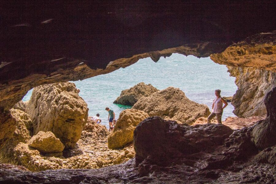 From Lisbon: Arrábida Day Tour & Wine Tasting - Why Arrábida makes such a great day trip from Lisbon