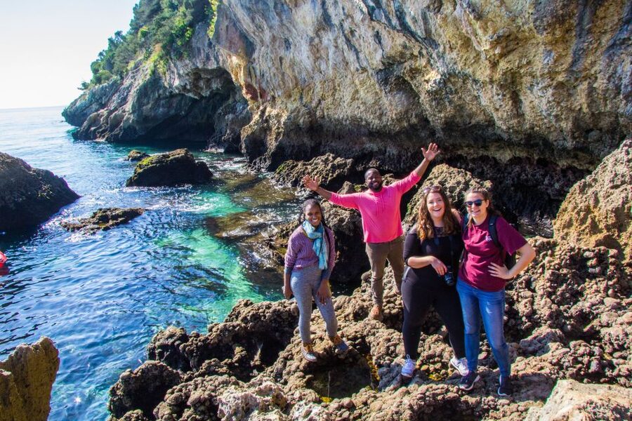 From Lisbon: Arrábida Day Tour & Wine Tasting - Guides make the difference in a small-group day