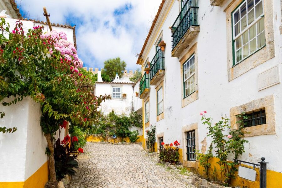 From Lisbon: Day Trip to Porto, Óbidos, and Nazaré - Who this tour fits best (and who should skip it)