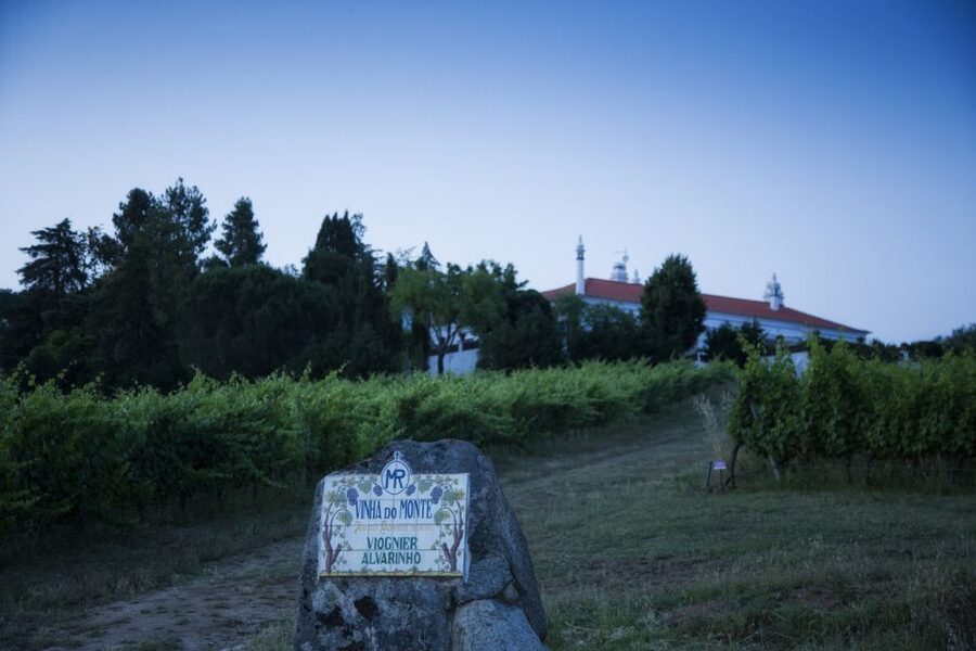From Lisbon: Évora Wine & Heritage Tour - What to bring, what to watch out for, and who should skip it
