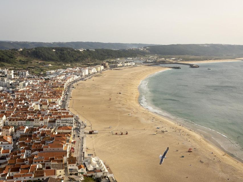 From Lisbon: Fátima, Nazaré and Sintra Guided Tour - Key Highlights You Should Expect