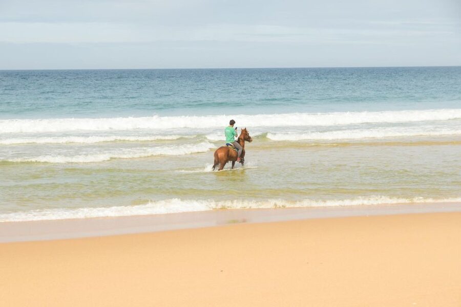 From Lisbon: Horseback Riding on Comporta Beach - Key things I’d bet on