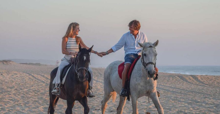 From Lisbon: Horseback Riding on Comporta Beach - Lisbon to Comporta, and why the drive matters