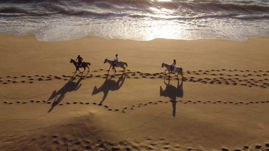 From Lisbon: Horseback Riding on Comporta Beach - Two hours on horseback: calm control, real outdoors time