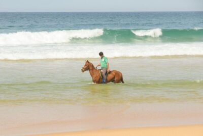 Horseback Riding on Comporta Beach