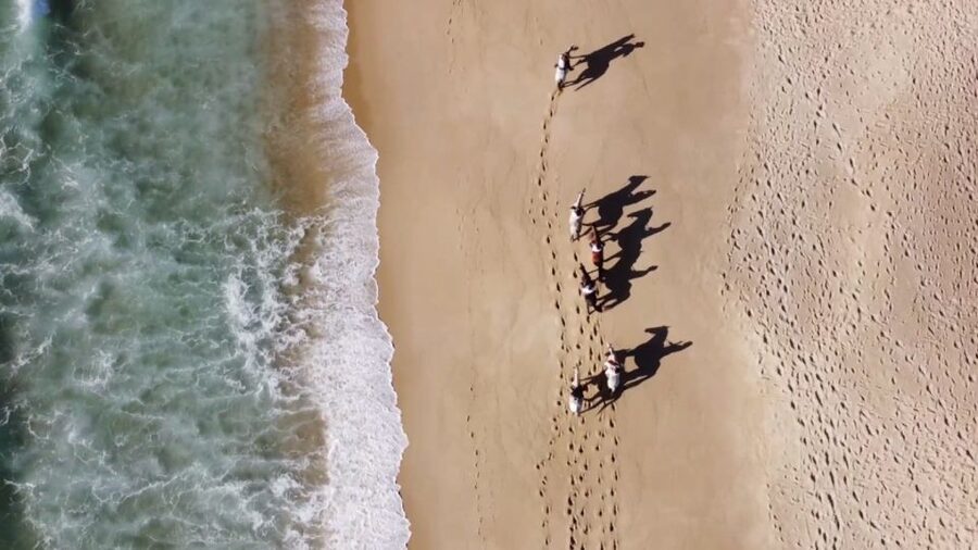 From Lisbon: Horseback Riding on Comporta Beach - The beach ride itself: dunes, sand, and the best kind of quiet