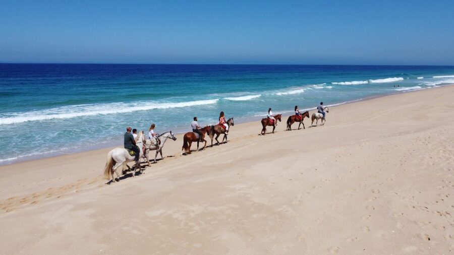 From Lisbon: Horseback Riding on Comporta Beach - Price and value: what you’re really paying for at $165