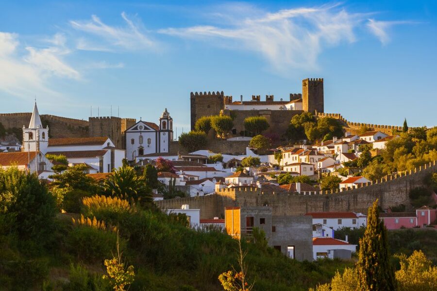From Lisbon: Private Óbidos and Nazaré Tour - Who this private tour fits best