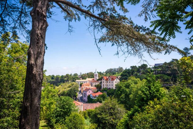 From Lisbon: Sintra, Pena Palace & Wine Tasting Small-Group Tour - Sintra’s historic center: UNESCO vibes with room to wander