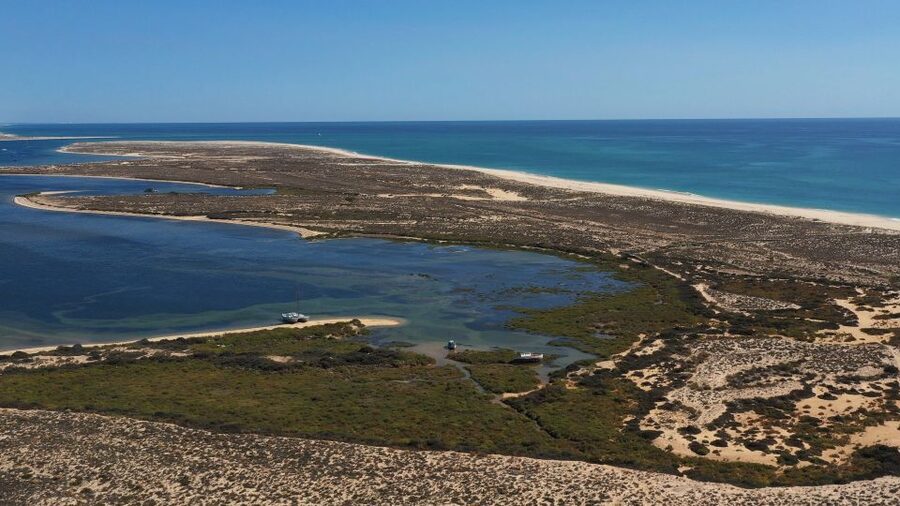 From Olhão: Ria Formosa 3-Island Full-Day Tour - Key reasons this Olhão boat day works so well