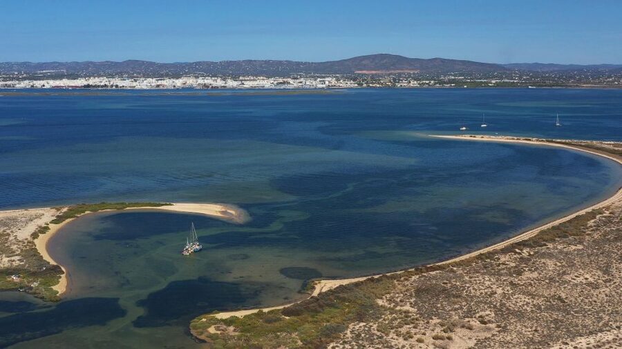 From Olhão: Ria Formosa 3-Island Full-Day Tour - Price and value: is $47 a good deal?