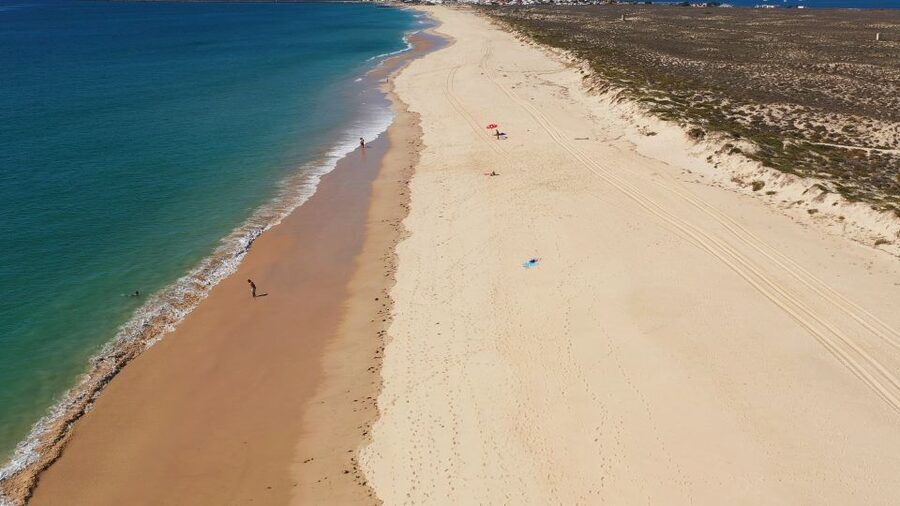 From Olhão: Ria Formosa 3-Island Full-Day Tour - Armona Island versus the deserted beach: choose your mood