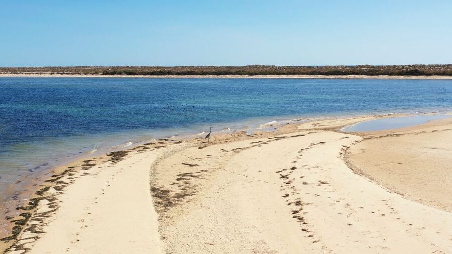 From Olhão: Ria Formosa 3-Island Full-Day Tour - Timing details: how 5 hours turns into a full island feel