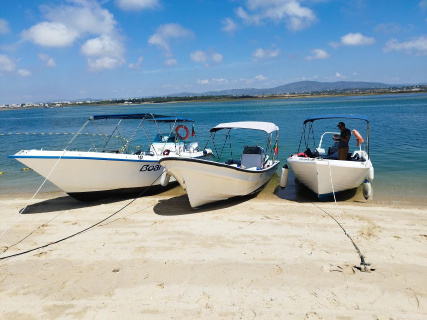 From Olhão: Ria Formosa 3-Island Full-Day Tour - What to bring (and what to expect you forgot)