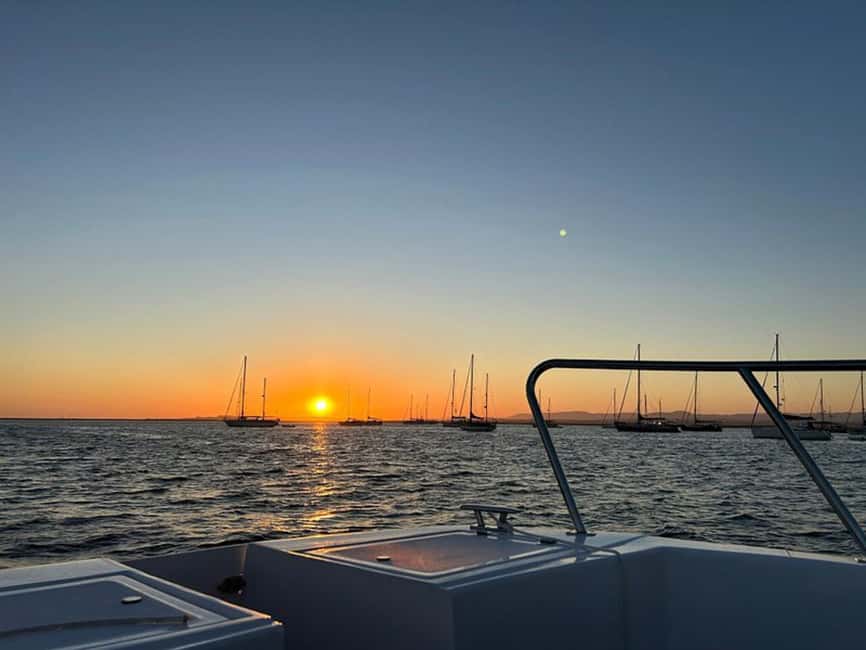 From Olhão: Ria Formosa Sunset Island Boat Tour - Wildlife spotting and local stories, the part that makes it more than a sunset cruise