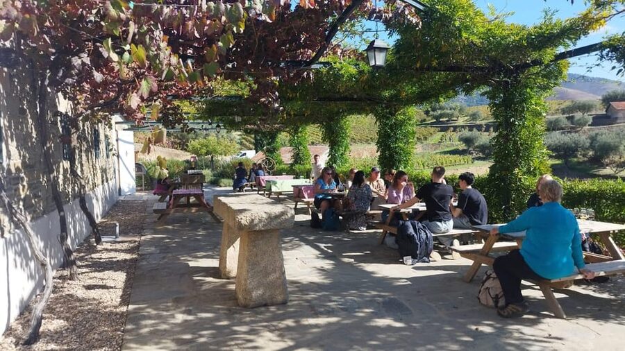 From Pinhão: Douro Valley Tour w/ Wine Tasting and Boat Trip - Transportation and pacing: AC minivan, small group, easy flow