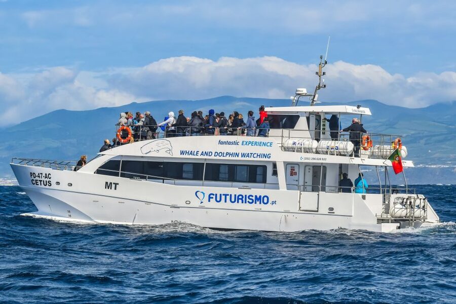 From Ponta Delgada: Whale and Dolphin Watching Trip - How Long You’re Out There, and Why the Crew’s Search Strategy Matters